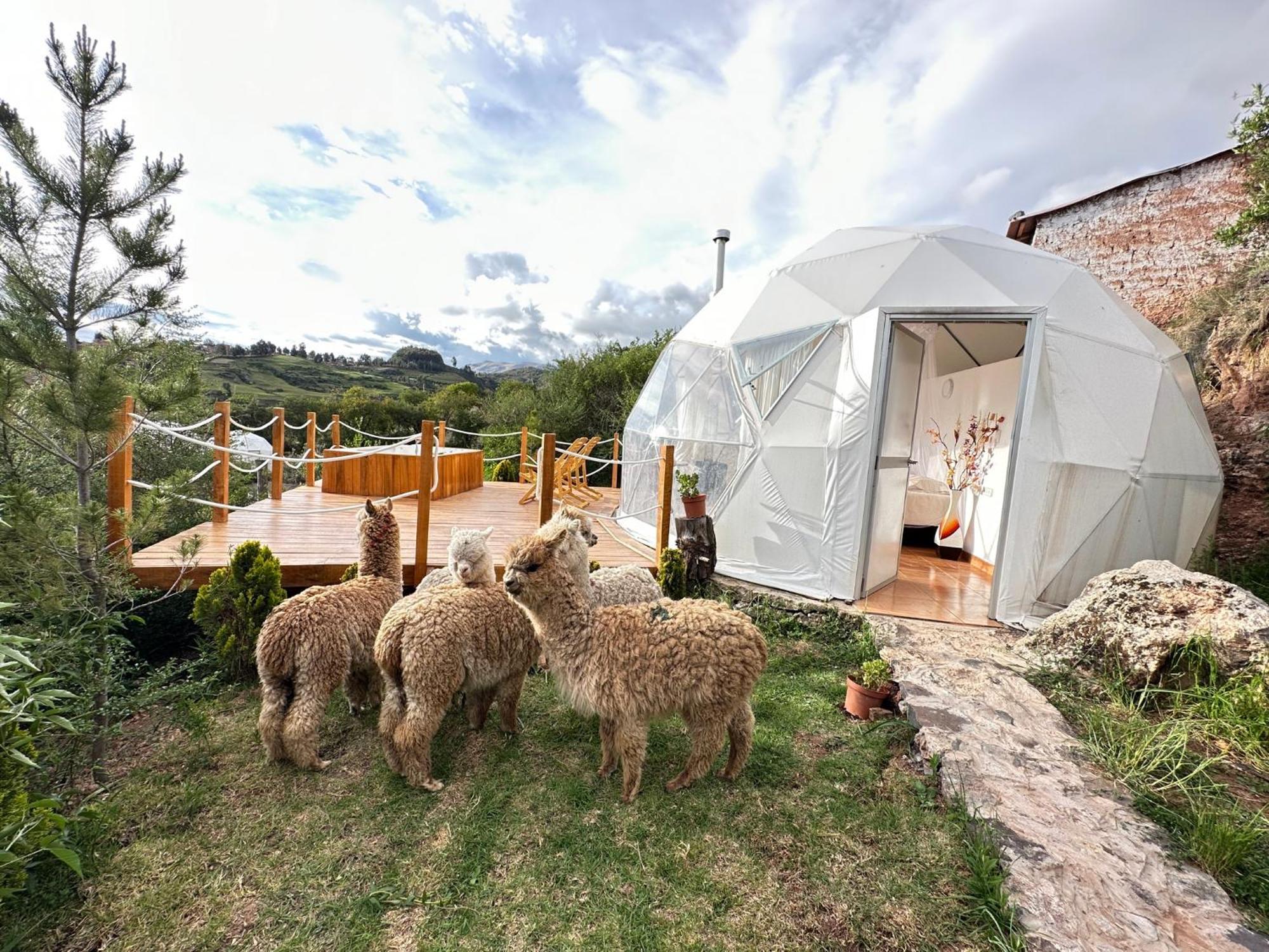 Sky Domes Luxury tent *